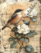 Load image into Gallery viewer, Baby Bird Bundle- Ooh La La Printables