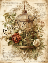 Load image into Gallery viewer, Birdcages- Ooh La La Printables