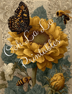 Orange Pumpkins & Sunflowers- Ooh La La Printables