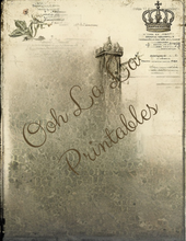 Load image into Gallery viewer, Backgrounds &amp; Book Prints- Ooh La La Printables