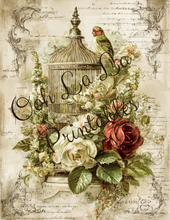Load image into Gallery viewer, Birdcages- Ooh La La Printables
