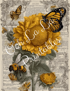 Orange Pumpkins & Sunflowers- Ooh La La Printables