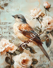 Load image into Gallery viewer, Birds W/ White Roses Bundle- Ooh La La Printables