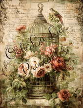 Load image into Gallery viewer, Birdcages- Ooh La La Printables