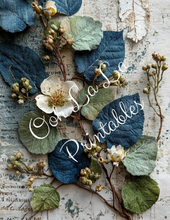 Load image into Gallery viewer, Robin&#39;s Swans Bundle- Ooh la La Printables
