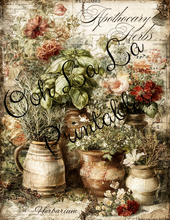Load image into Gallery viewer, Vintage Herb Garden- Ooh La La Printables