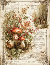 Load image into Gallery viewer, Fairy Gardens- Ooh La La Printables