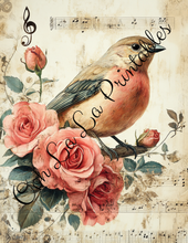 Load image into Gallery viewer, Birds with Pink Roses Bundle- Ooh La La Printables