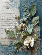 Load image into Gallery viewer, Robin&#39;s Swans Bundle- Ooh la La Printables