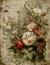 Load image into Gallery viewer, Birdcages- Ooh La La Printables