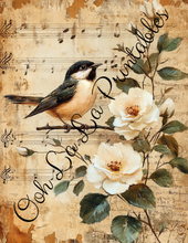 Load image into Gallery viewer, Baby Bird Bundle- Ooh La La Printables