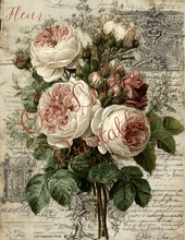 Load image into Gallery viewer, Paris &amp; Roses- Ooh La La Printables
