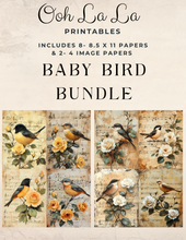 Load image into Gallery viewer, Baby Bird Bundle- Ooh La La Printables