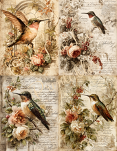 Load image into Gallery viewer, Butterflies, Dragonflies, &amp; Hummingbirds- Ooh La La Printables