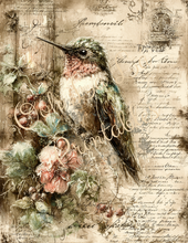 Load image into Gallery viewer, Butterflies, Dragonflies, &amp; Hummingbirds- Ooh La La Printables