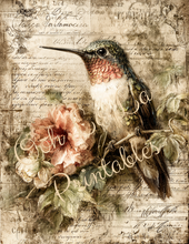 Load image into Gallery viewer, Butterflies, Dragonflies, &amp; Hummingbirds- Ooh La La Printables