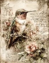 Load image into Gallery viewer, Butterflies, Dragonflies, &amp; Hummingbirds- Ooh La La Printables