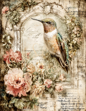 Load image into Gallery viewer, Butterflies, Dragonflies, &amp; Hummingbirds- Ooh La La Printables
