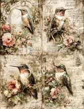 Load image into Gallery viewer, Butterflies, Dragonflies, &amp; Hummingbirds- Ooh La La Printables