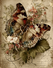 Load image into Gallery viewer, Butterflies, Dragonflies, &amp; Hummingbirds- Ooh La La Printables
