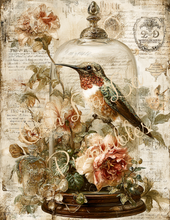 Load image into Gallery viewer, Butterflies, Dragonflies, &amp; Hummingbirds- Ooh La La Printables