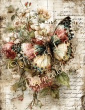 Load image into Gallery viewer, Butterflies, Dragonflies, &amp; Hummingbirds- Ooh La La Printables