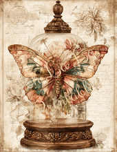 Load image into Gallery viewer, Butterflies, Dragonflies, &amp; Hummingbirds- Ooh La La Printables