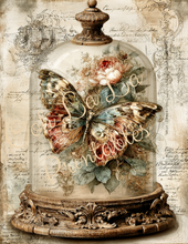 Load image into Gallery viewer, Butterflies, Dragonflies, &amp; Hummingbirds- Ooh La La Printables