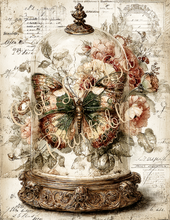 Load image into Gallery viewer, Butterflies, Dragonflies, &amp; Hummingbirds- Ooh La La Printables
