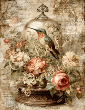 Load image into Gallery viewer, Butterflies, Dragonflies, &amp; Hummingbirds- Ooh La La Printables