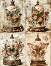 Load image into Gallery viewer, Butterflies, Dragonflies, &amp; Hummingbirds- Ooh La La Printables
