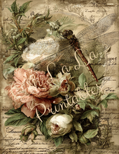 Load image into Gallery viewer, Butterflies, Dragonflies, &amp; Hummingbirds- Ooh La La Printables