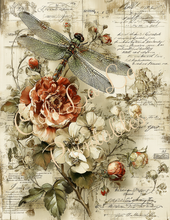 Load image into Gallery viewer, Butterflies, Dragonflies, &amp; Hummingbirds- Ooh La La Printables