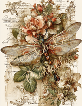 Load image into Gallery viewer, Butterflies, Dragonflies, &amp; Hummingbirds- Ooh La La Printables