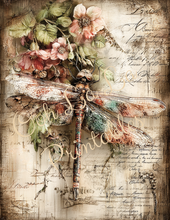 Load image into Gallery viewer, Butterflies, Dragonflies, &amp; Hummingbirds- Ooh La La Printables