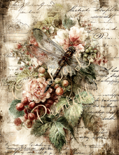 Load image into Gallery viewer, Butterflies, Dragonflies, &amp; Hummingbirds- Ooh La La Printables