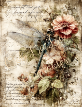 Load image into Gallery viewer, Butterflies, Dragonflies, &amp; Hummingbirds- Ooh La La Printables