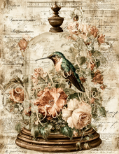 Load image into Gallery viewer, Butterflies, Dragonflies, &amp; Hummingbirds- Ooh La La Printables