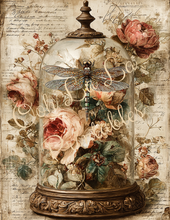 Load image into Gallery viewer, Butterflies, Dragonflies, &amp; Hummingbirds- Ooh La La Printables