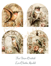 Load image into Gallery viewer, Butterflies, Dragonflies, &amp; Hummingbirds- Ooh La La Printables