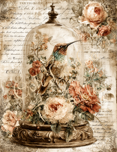 Load image into Gallery viewer, Butterflies, Dragonflies, &amp; Hummingbirds- Ooh La La Printables