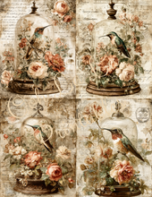 Load image into Gallery viewer, Butterflies, Dragonflies, &amp; Hummingbirds- Ooh La La Printables