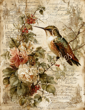 Load image into Gallery viewer, Butterflies, Dragonflies, &amp; Hummingbirds- Ooh La La Printables