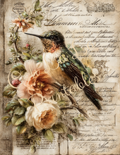 Load image into Gallery viewer, Butterflies, Dragonflies, &amp; Hummingbirds- Ooh La La Printables