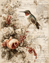 Load image into Gallery viewer, Butterflies, Dragonflies, &amp; Hummingbirds- Ooh La La Printables