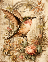 Load image into Gallery viewer, Butterflies, Dragonflies, &amp; Hummingbirds- Ooh La La Printables