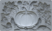 Load image into Gallery viewer, 2024 HOLIDAY COLLECTION AUTUMN COTTAGE IOD
MOULD 6X10