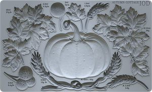 2024 HOLIDAY COLLECTION AUTUMN COTTAGE IOD
MOULD 6X10