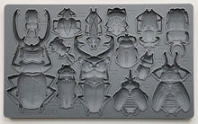 Load image into Gallery viewer, SPRING 2024 IRON ORCHID SPECIMENS 6&quot;X10&quot; MOULD *free class included*