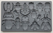 Load image into Gallery viewer, IRON ORCHID SPECIMENS 6&quot;X10&quot; MOULD *free class included*